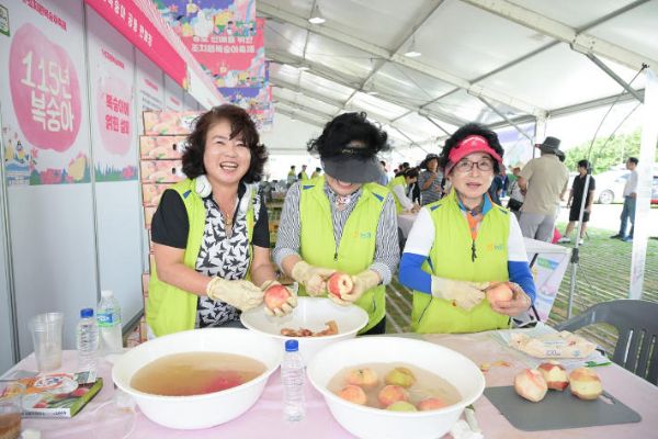 세종 조치원복숭아축제.jpg