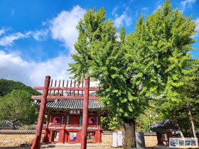 설민석과 역사토크 콘서트, 장성 필암서원서…선비문화 프로젝트