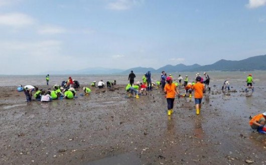 섬·해양레저·캠핑 가능한…촌캉스 명소 11곳 총정리