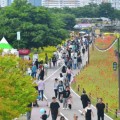 장성 황룡강, 봄날 음악으로 물든다…'음악힐링축제' 5월 23~25일 첫 개최