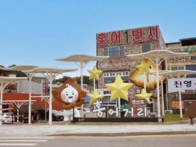 꽃양귀비 물든 나주…영산포 홍어·한우축제 22일 개막