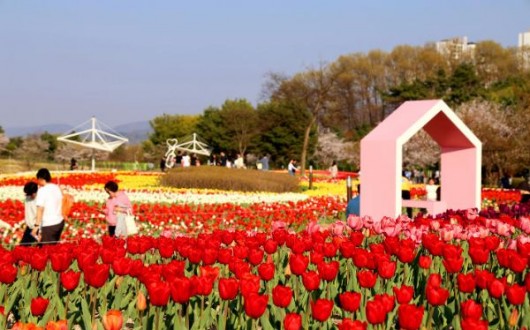 청주 문암생태공원, 연 60만 명 찾는 도심 힐링 명소로 부상