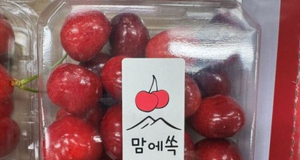 당도 17브릭스 이상…전남 곡성 체리 본격 출하 시작