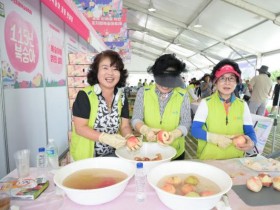 야간 연장·헬기체험·황토풀 첫선…조치원복숭아축제 역대급 변신