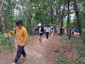 숲해설부터 해먹 체험까지…괴산 성불산, 산림치유 명소로 급부상