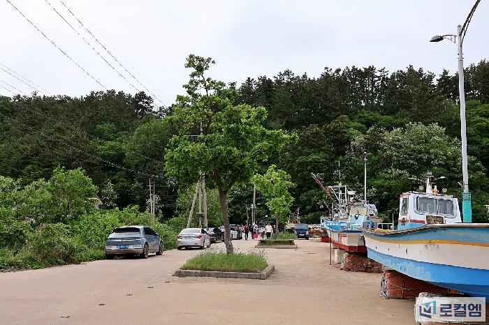 부안 샤스타데이지 변산마실길2코스 (1).jpg