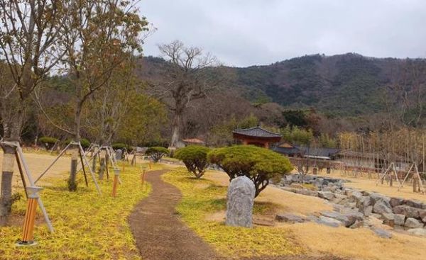 고산오우가정원.jpg
