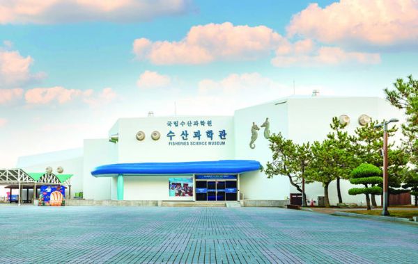 국립수산과학관 아쿠아리움.jpg