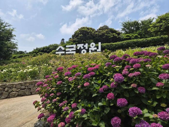 신안 수국정원.jpg