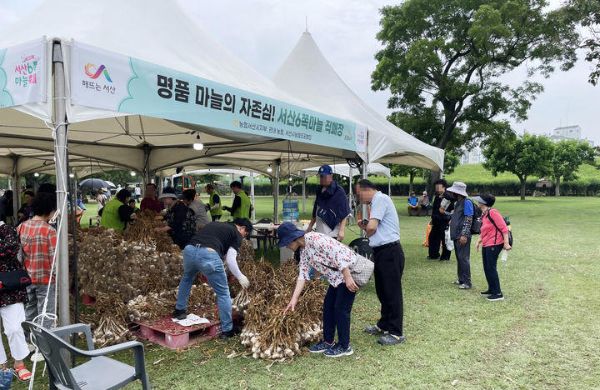 서산 6쪽마늘축제.jpg