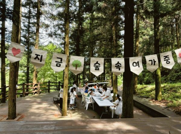 장성 숲산책.jpg