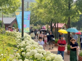 진주 월아산 수국 축제 18~28일 개막…야간 공연·정원박람회 동시 운영