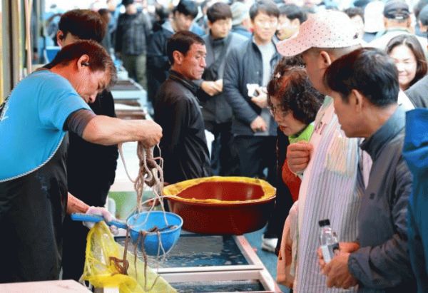 강진 마량놀토수산시장.jpg