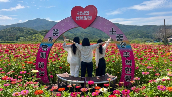 청도 각남면 백일홍 꽃밭 조성.png