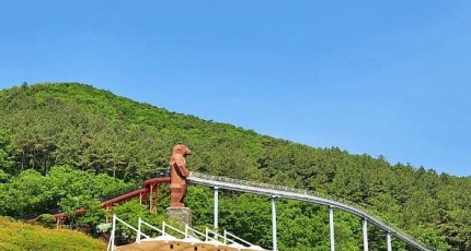 [로컬여행] 여름 피서지, 보성 제암산휴양림…24일 물놀이장도 오픈