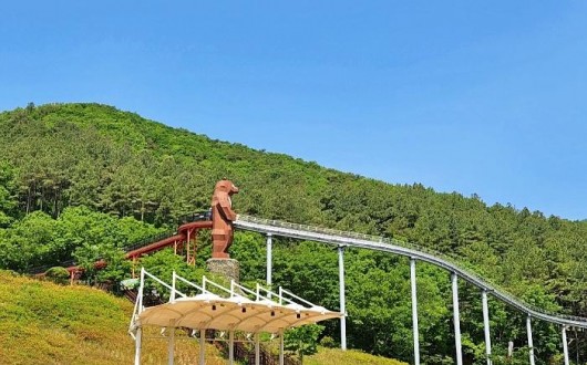 [로컬여행] 여름 피서지, 보성 제암산휴양림…24일 물놀이장도 오픈