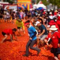 황금반지 찾기·물놀이존까지, 2026 화천토마토축제 31일 개막