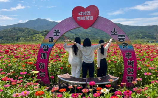 여름철 사진 명소로 뜬 청도 백일홍 꽃밭