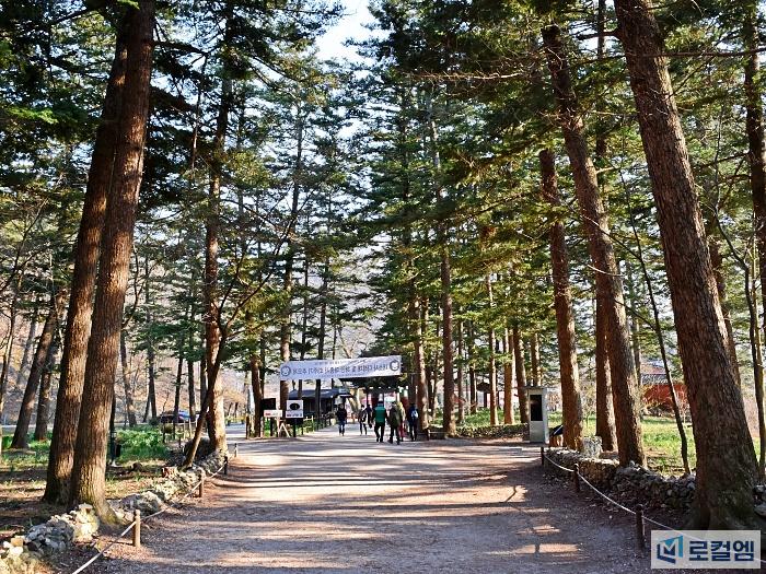 변산반도가볼만한곳 부안 내소사 전나무숲길 시원한 여름 여행코스 (9).jpg