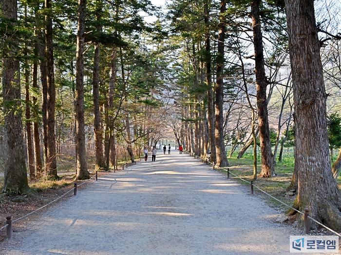 변산반도가볼만한곳 부안 내소사 전나무숲길 시원한 여름 여행코스 (12).jpg