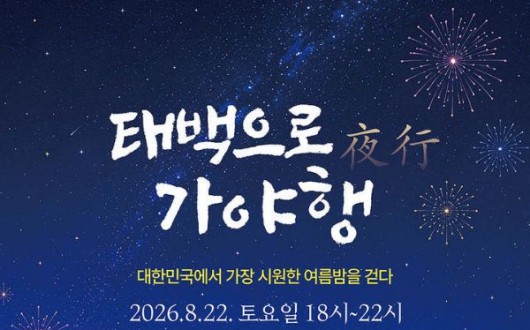 열대야 없는 여름밤, '태백으로, 가야행' 개최