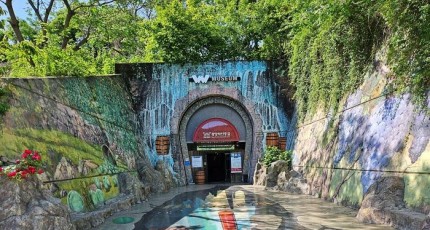 [로컬여행] 실내명소 광양 와인동굴 입장료부터 족욕 체험까지 한눈에
