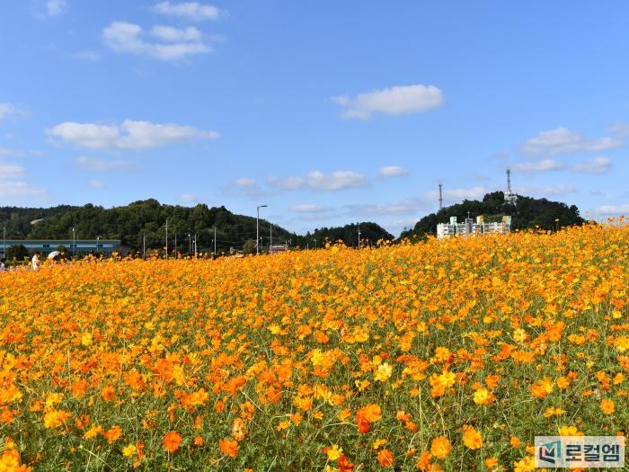 전남 장성가볼만한곳 (12).JPG