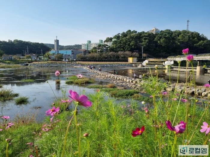 전남 장성가볼만한곳 (11).jpg