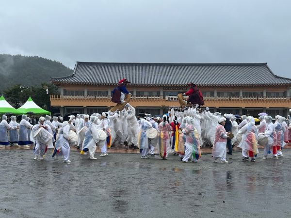 광주 고싸움.jpg
