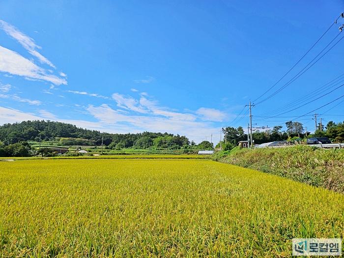 영암 송산 유기농생태마을 첫수확 (1).jpg