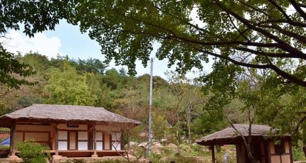 [로컬여행] 강진가볼만한곳 백운동정원, 계곡과 숲이 만든 고요
