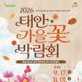 축구장 14개 꽃밭으로 물든다…2026 태안 가을꽃 박람회