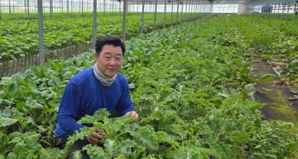 장성 이혁재씨 '무농약쌈채소'로 9월 친환경농산물 선정
