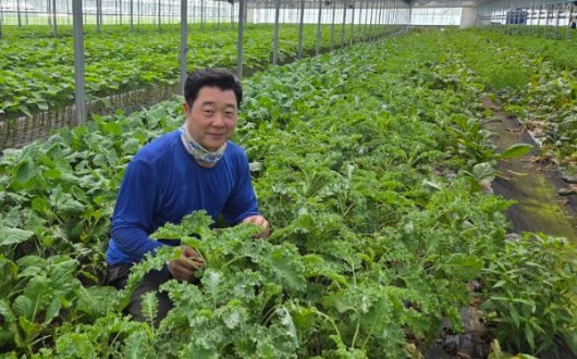 장성 이혁재씨 '무농약쌈채소'로 9월 친환경농산물 선정