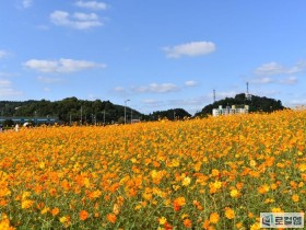 [로컬여행] 전남 장성 가볼 만한 곳 4선…황룡강부터 편백숲까지