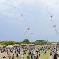 김제 지평선축제…벽골제서 닷새간 농경문화 체험