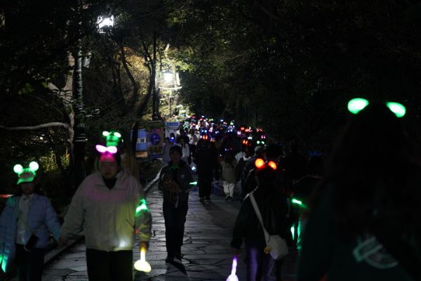 제주 섬 축제.jpg
