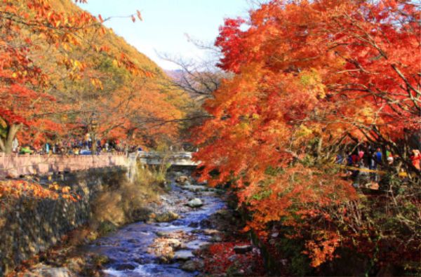 소요산 단풍사진.jpg