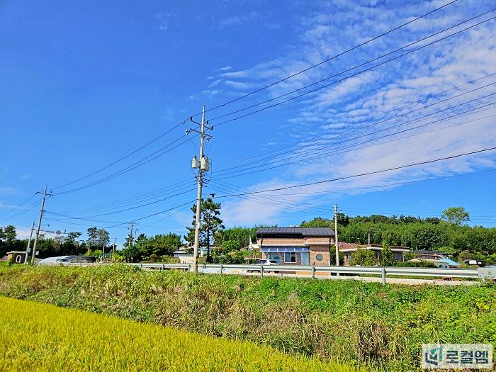 영암 송산마을 내동리 쌍무덤 (2).jpg