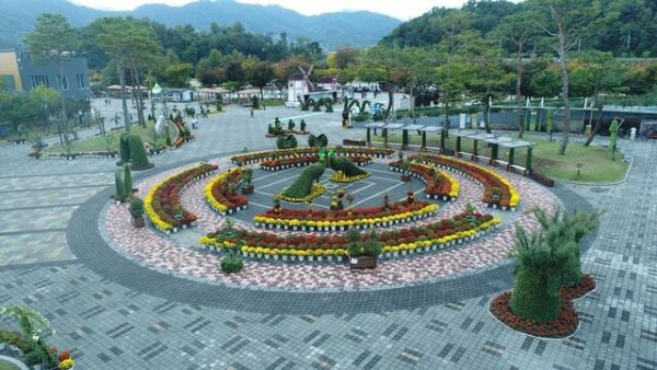 거창창포원 국화전시회.jpg