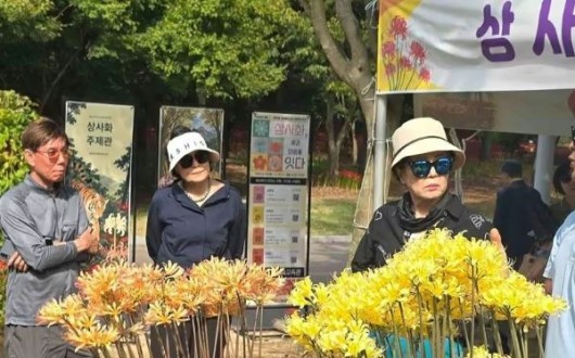 꽃 진 불갑산 상사화, 이제는 ‘잎의 계절’…가을·겨울 볼거리
