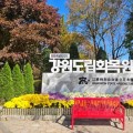 1만3천본 국화로 물드는 강원도립화목원…가을 전시 시작