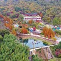 진주 월아산 숲속의 진주, 31일부터 이틀간 '알록달록 숲속 가을축제'