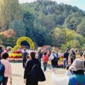 청남대 단풍 속 예술 향연…68회 충북예술제 30일 팡파르