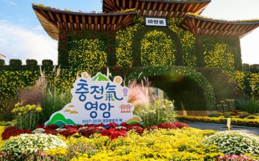 2026 영암 월출산 국화축제 30일 개막…국화 20만 점 가을 풍경